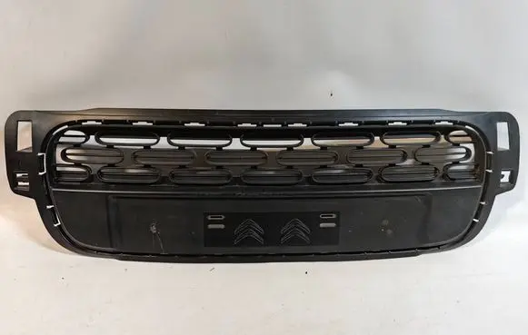 Citroen C3 Front bumper lower grill 9812061877