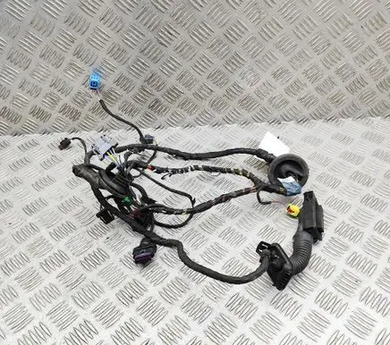 Audi TT TTS RS Mk3 8S Front door wiring loom 8S0971030G