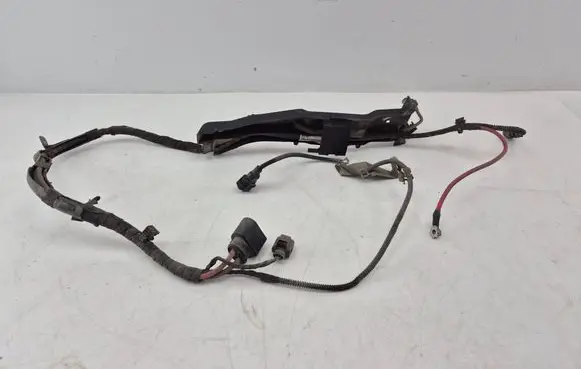 Volkswagen PASSAT B7 Other wiring loom 3C1971111AD 1K0971615CT
