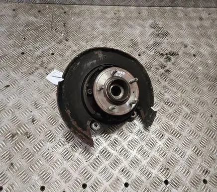Opel Antara Rear wheel hub spindle/knuckle 