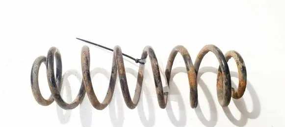 Rear coil spring