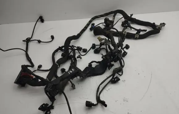 Engine installation wiring loom