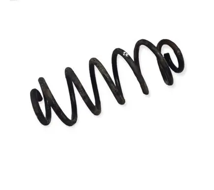 Volkswagen Golf V Rear coil spring