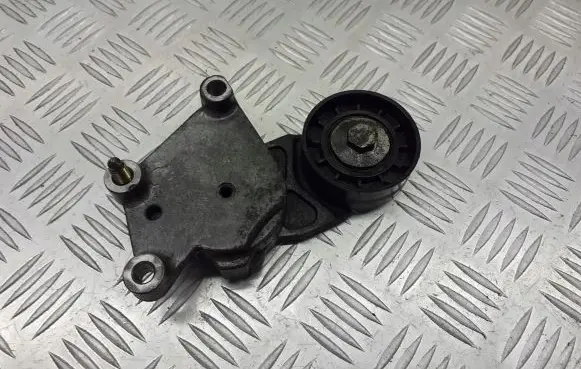 Peugeot 307 Alternator belt tensioner pulley 