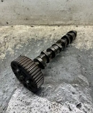 Seat Alhambra (Mk1) Camshaft 0001