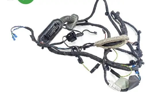 BMW 5 F10 F11 Front door wiring loom 9291048 4380893 9149009