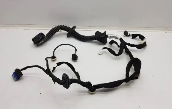 Renault Clio V Front door wiring loom 241245296R A10200