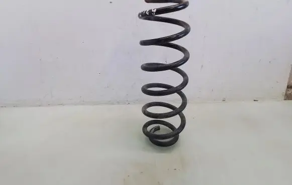 Volkswagen PASSAT B6 Rear coil spring