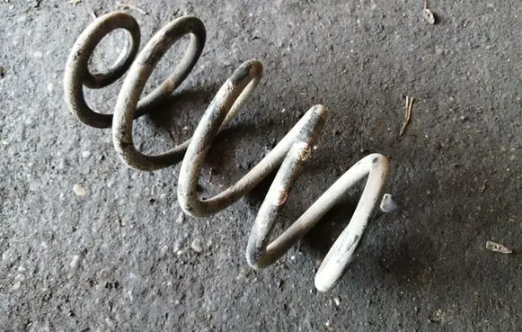 Rear coil spring