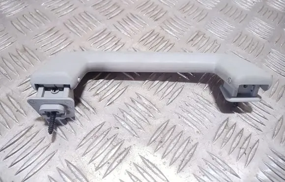 Front interior roof grab handle