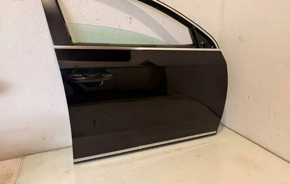 Volkswagen PASSAT B7 Front door LC9X