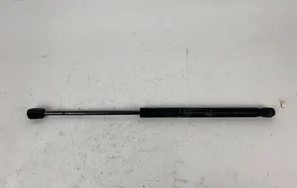 Front bonnet/hood damper/strut