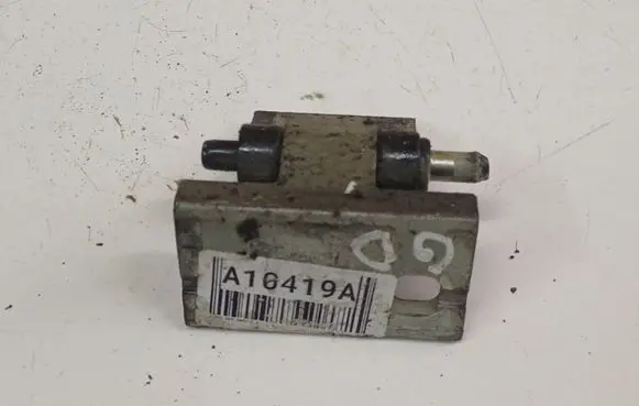 Rear door lower hinge