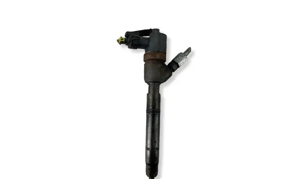 Hyundai ix20 Fuel injector 0445110320