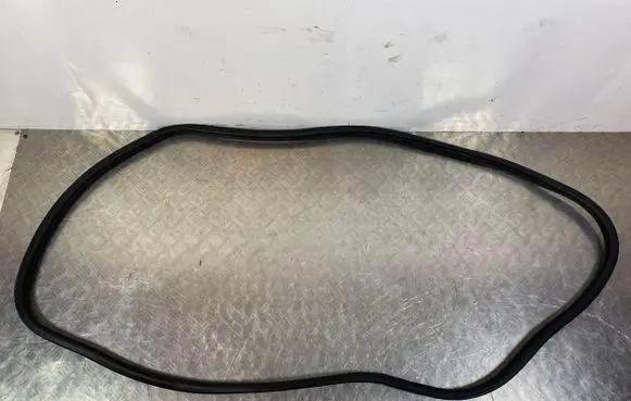 KIA Telluride Rear door rubber seal (on body) 