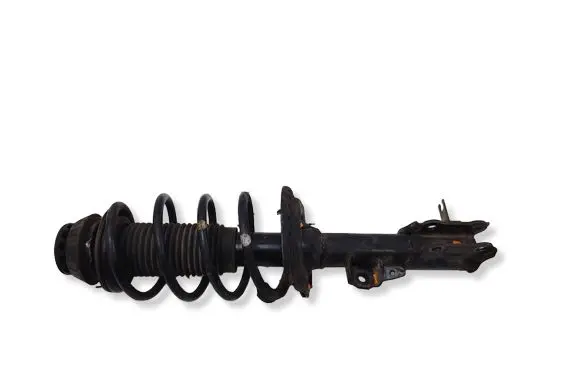 Hyundai i20 (PB PBT) Front shock absorber with coil spring 546504P500