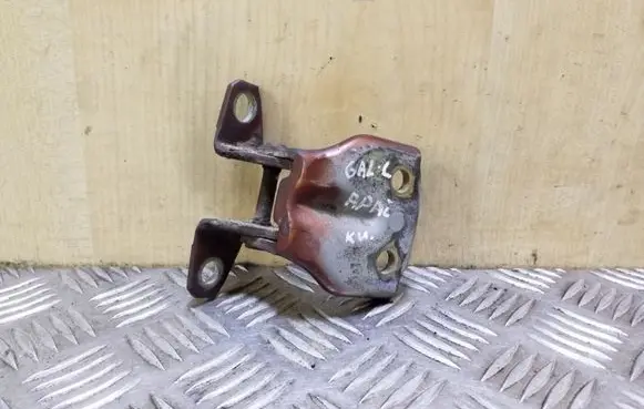 Hyundai Santa Fe Rear door lower hinge