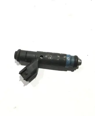Jeep Grand Cherokee (WJ) Fuel injector 04854181 X156W10987