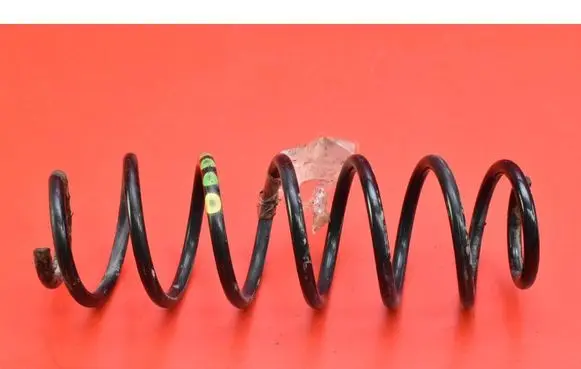 Rear coil spring