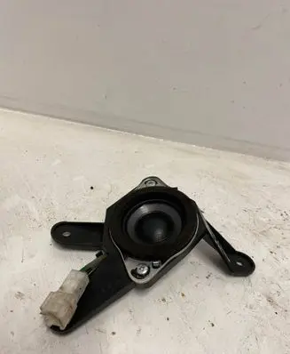 Front door speaker