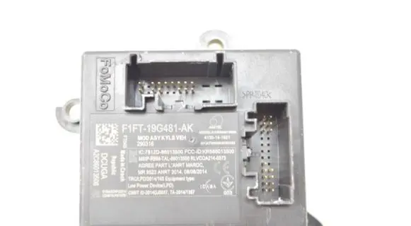 Ford Focus Other control units/modules F1FT19G481AK