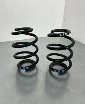 Rear coil spring