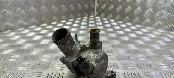 Thermostat/thermostat housing