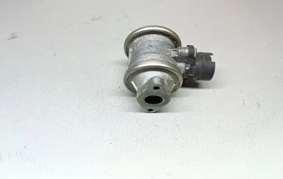 EGR valve