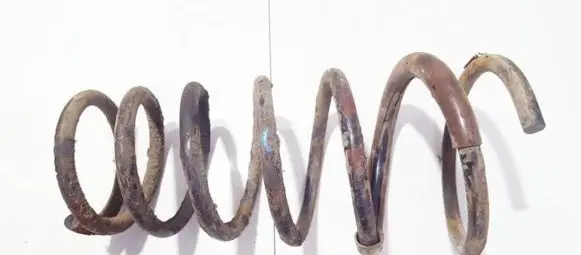 Rear coil spring