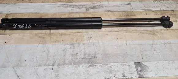 Tailgate/trunk strut/damper