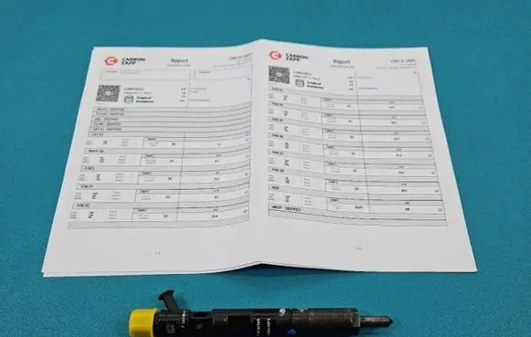 Renault Megane II Fuel injector EJBR01801Z IMPRK1439406
