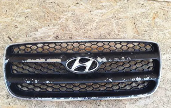 Front bumper upper radiator grill