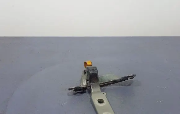 BMW X6 E71 Tailgate/trunk/boot hinge 7175828