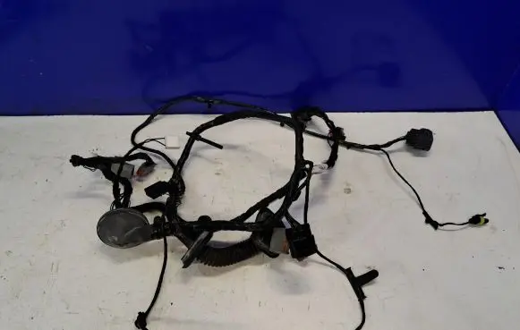 Front door wiring loom