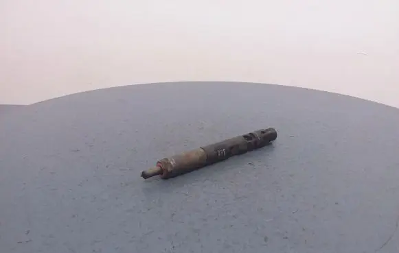 Renault Megane III Fuel injector 8200057225