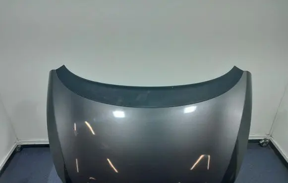 Seat Toledo III (5P) Engine bonnet/hood