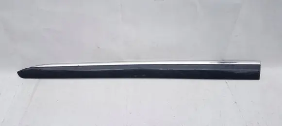 Front door trim (molding)