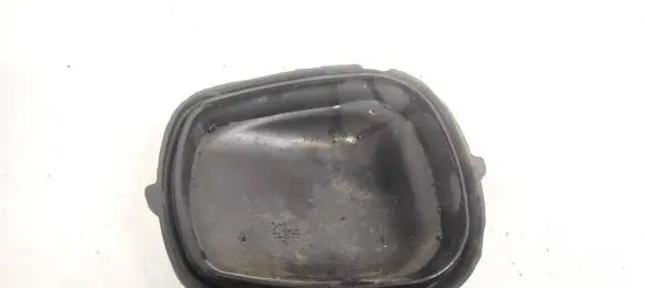 Headlight/headlamp dust cover