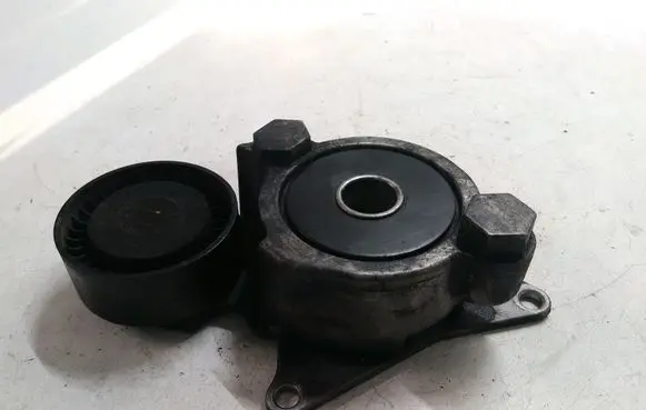 Toyota RAV 4 (XA30) Alternator belt tensioner 166200R010