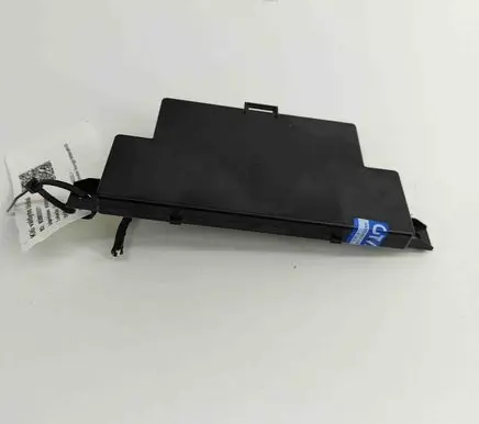 Tesla Model Y Door central lock control unit/module 110024100J