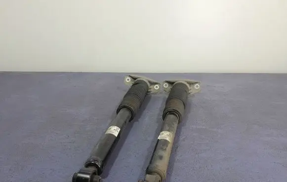 Hyundai Tucson IV NX4 Rear shock absorber/damper 55300N7000