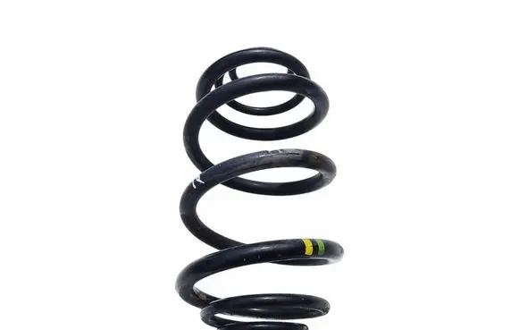 Renault Trafic II (X83) Rear coil spring