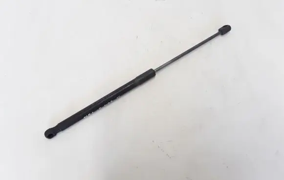 Tailgate strut