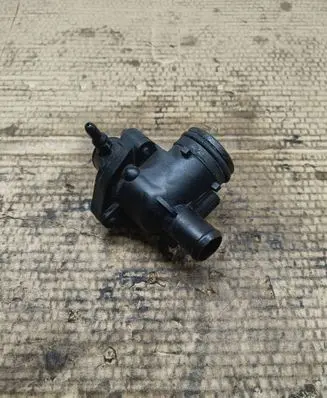 Thermostat/thermostat housing