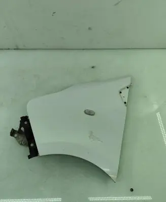 Renault Trafic III (X82) Fender