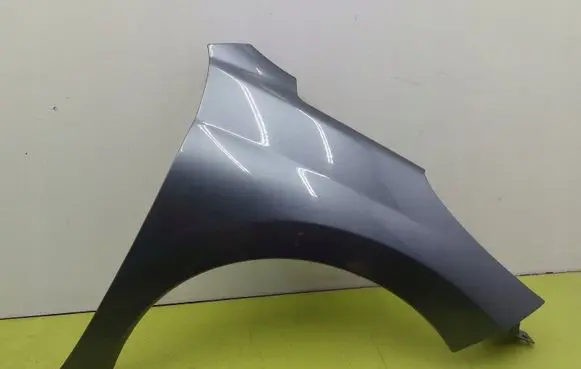 Peugeot 207 CC Fender