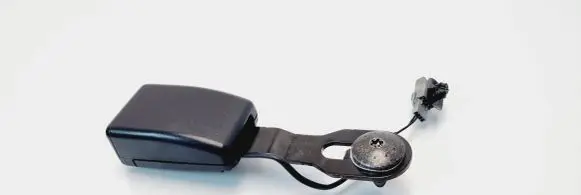 Renault Zoe Front seatbelt buckle 888428542R