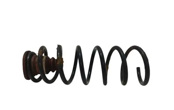 Rear coil spring