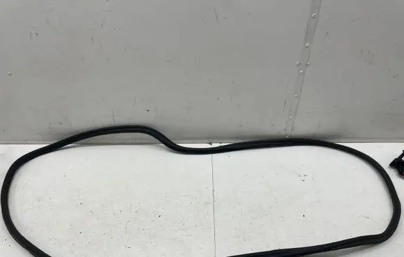 Trunk rubber seal (body)