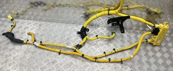 Renault Rafale Other wiring loom